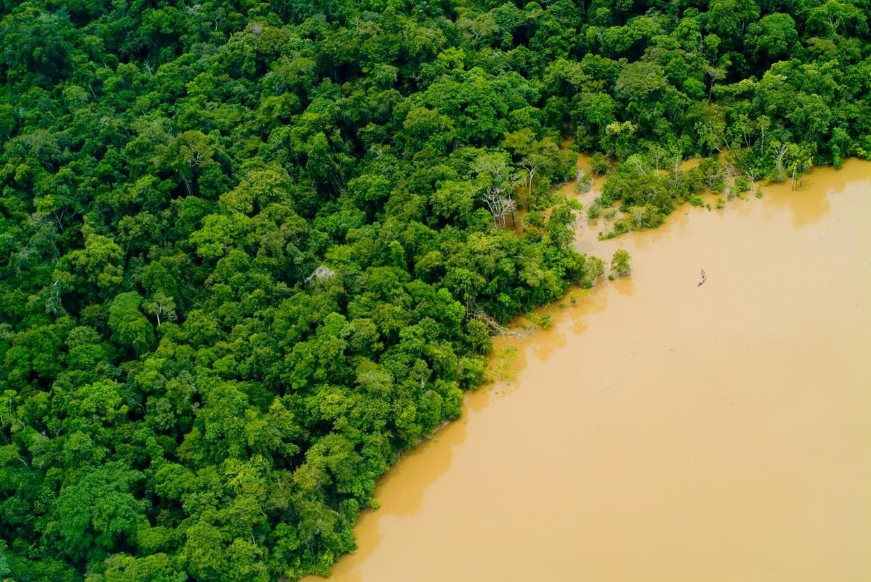 Imagini surprinse în pădurea Amazoniană