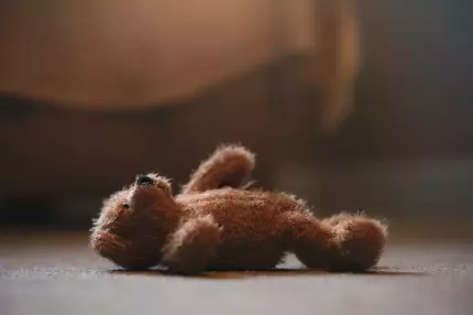 Ursulet pluş Ursuleţ de pluş