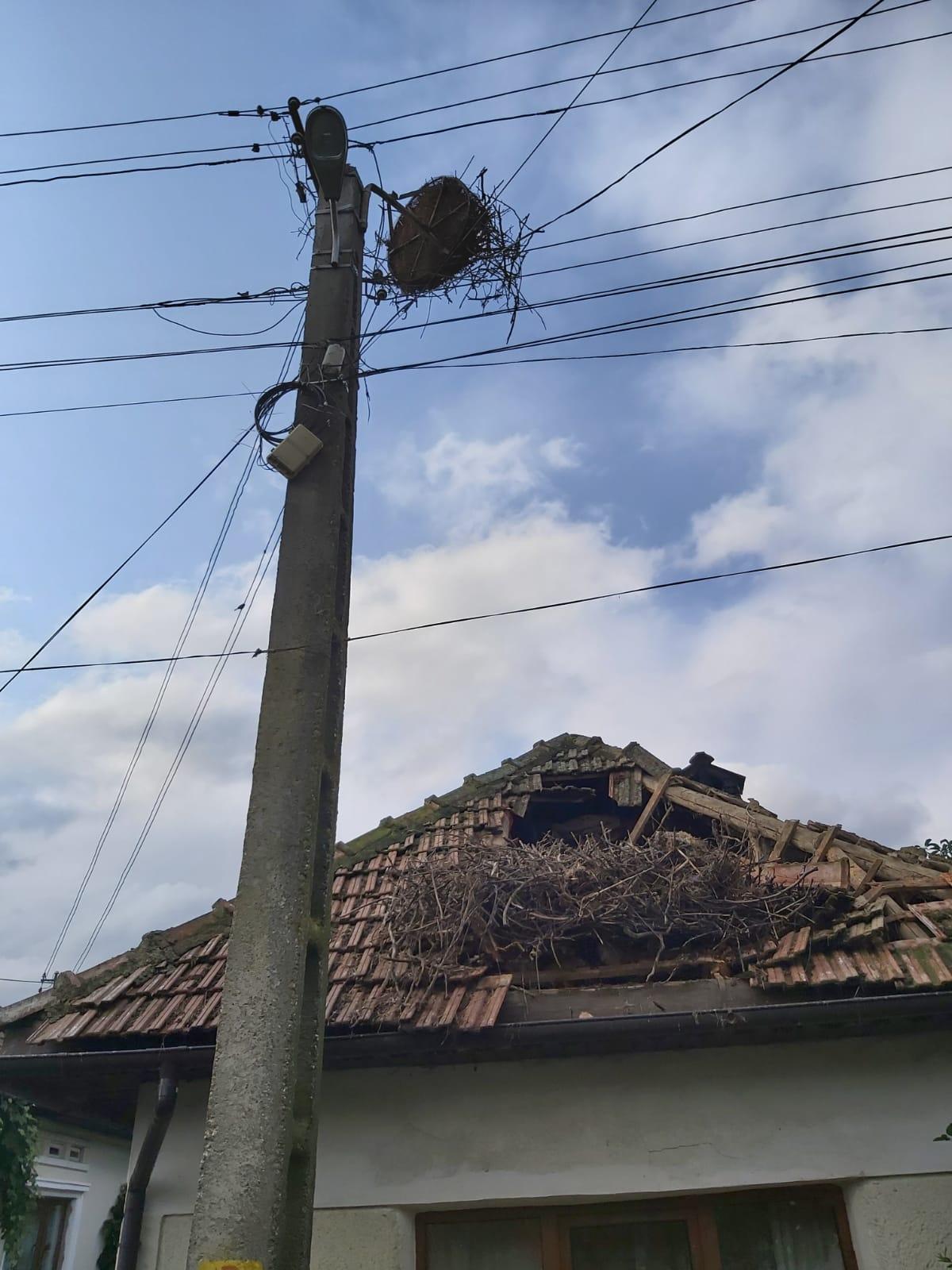 Cuibul unei berze a căzut peste acoperişul unei case