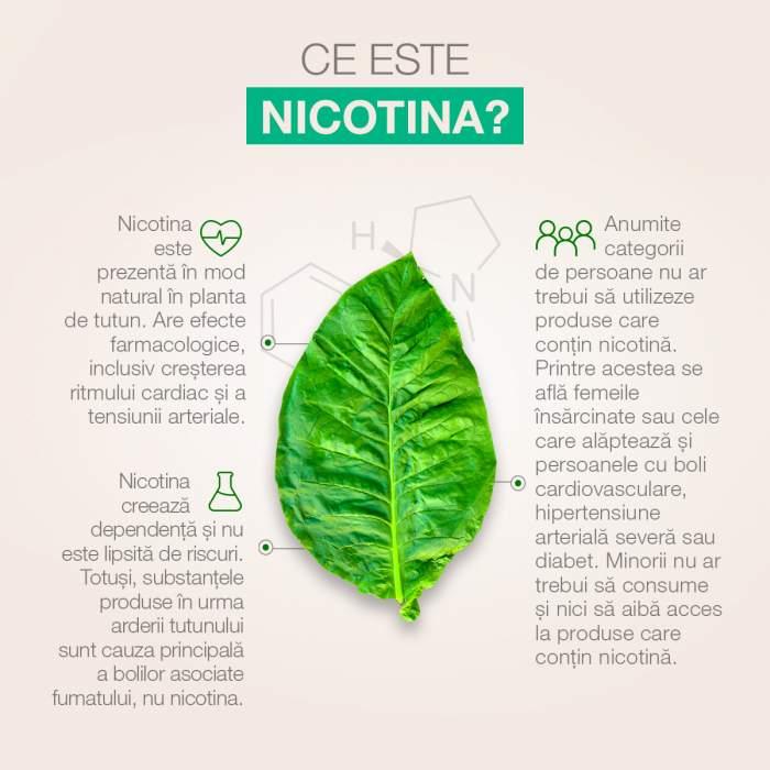 Nicotina Nicotina