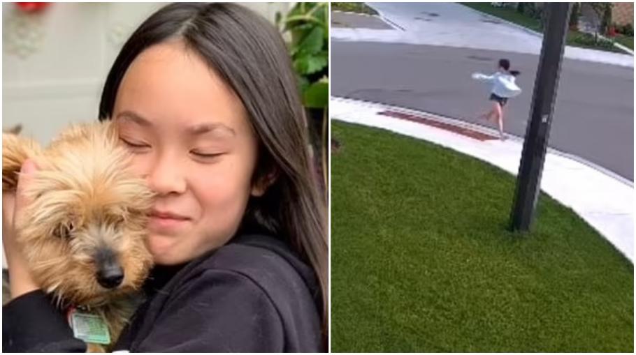 Un căţel și-a riscat viața pentru stăpâna sa, o copilă de zece ani, în încercarea de a opri atacul teribil al unui coiot, în Canada Un căţel și-a riscat viața pentru stăpâna sa, o copilă de zece ani, în încercarea de a opri atacul teribil al unui coiot, în Canada