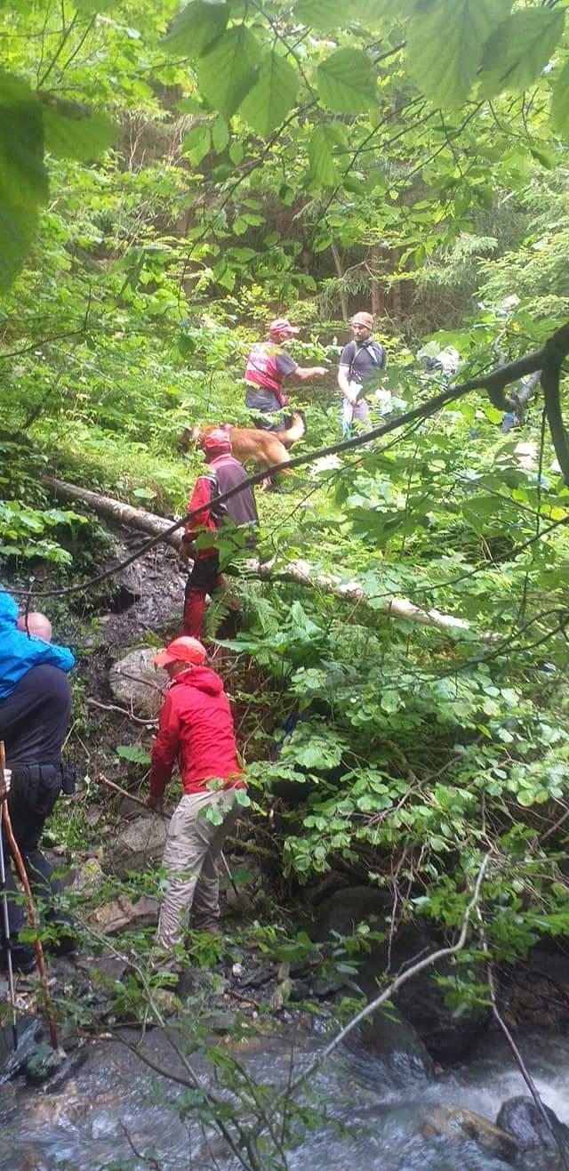 Șase turiști străini, printre care o familie cu doi copii mici, recuperați după ce s-au rătăcit noaptea trecută în Munții Rodnei