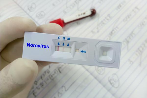 norovirus Râșnov