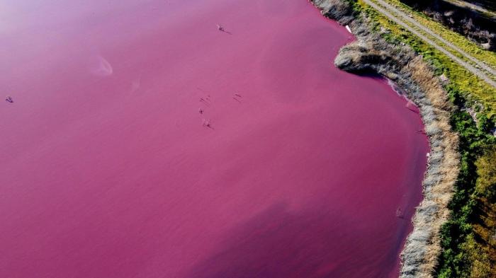 Apa unui lac din Patagonia a devenit roz peste noapte din cauza poluării