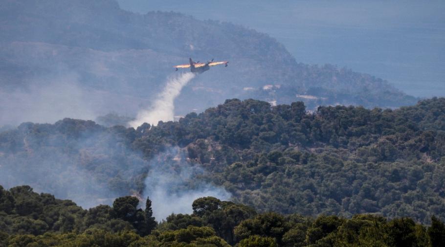 Incendiu de vegetaţie în Grecia. Mai multe case au fost evacuate Incendiu de vegetaţie în Grecia. Mai multe case au fost evacuate