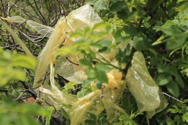 Un bebeluș de doar o zi a fost găsit abandonat, într-o pungă de gunoi, lângă orașul Lyon din Franța
