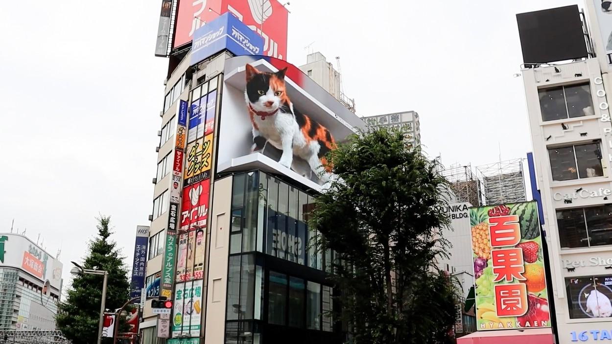 Panoul publicitar 3D cu o felină gigantică devenit atracţie turistică în Tokyo