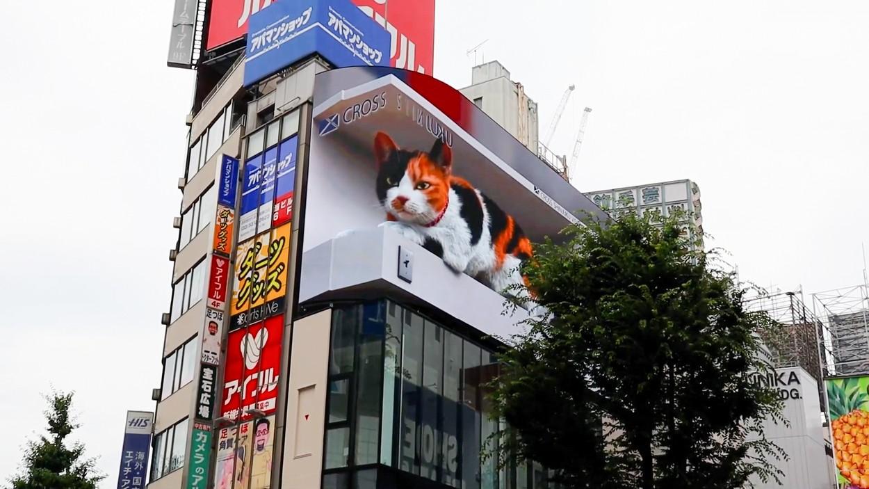 Panoul publicitar 3D cu o felină gigantică devenit atracţie turistică în Tokyo