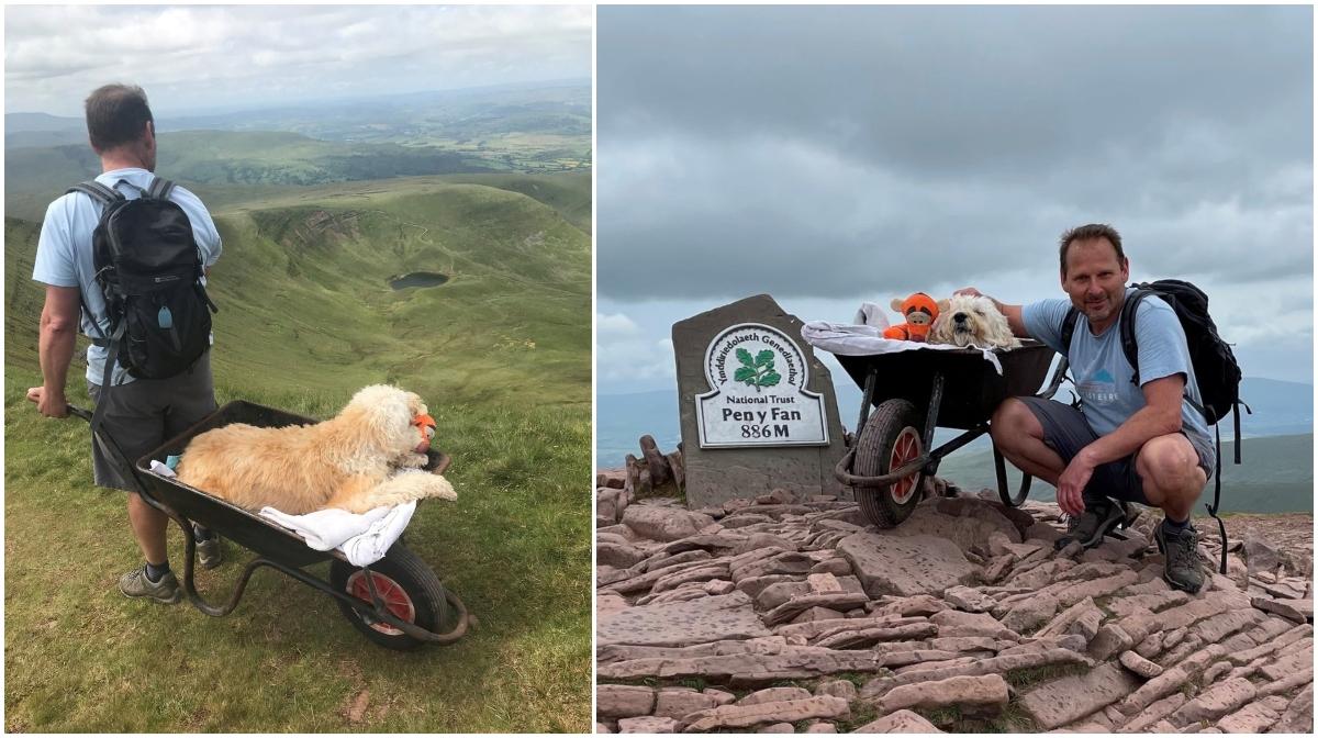 Un britanic şi-a dus câinele aflat pe moarte pe muntele său preferat, într-o roabă, pentru o ultimă plimbare