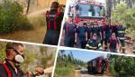 Misiunile pompierilor români continuă în insula Evia, pentru a treia zi: "La temperaturi caniculare, aceştia luptă cu focul în ture de câte şase ore"