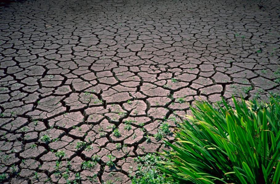 Scenariu apocaliptic: cum se va schimba clima în România în următorii 30 de ani. Temperaturi de 50 de grade și regiuni deșert Scenariu apocaliptic: cum se va schimba clima în România în următorii 30 de ani. Temperaturi de 50 de grade și regiuni deșert