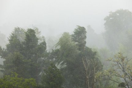 Prognoza pe două săptămâni: temperaturi în scădere și ploi în toată țara