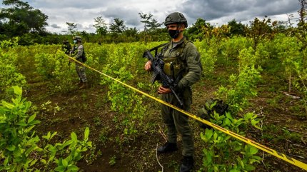 Peste 116 tone de cocaină au fost confiscate