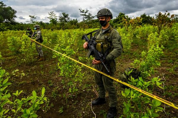 Peste 116 tone de cocaină au fost confiscate