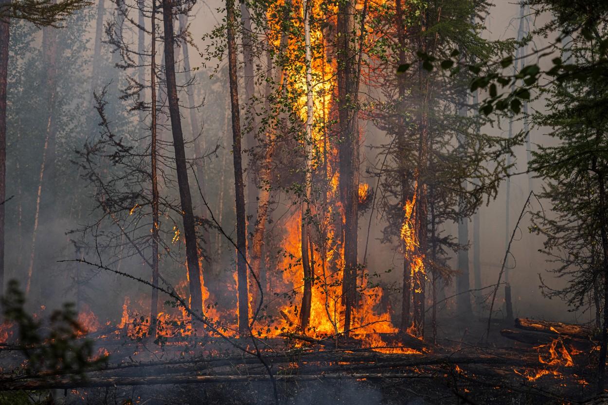 Ce cauze au incendiile de vegetaţie din Siberia, cea mai rece zonă locuită de pe Pământ Ce cauze au incendiile de vegetaţie din Siberia, cea mai rece zonă locuită de pe Pământ