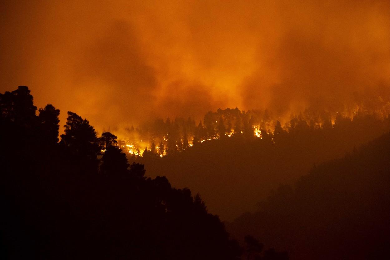 Grecia, devastată de incendii. Flăcări de peste 30 de metri au înconjurat o mănăstire de pe Evia: trei călugări refuză să plece