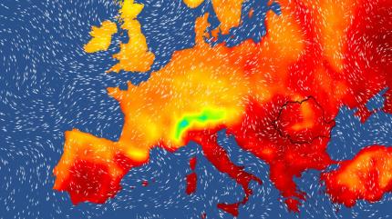 Vremea 9 august - 6 septembrie 2021. Urmează un nou val de caniculă, apoi se răcorește