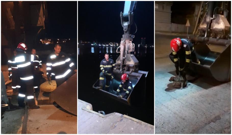 Cățel salvat din mare, cu excavatorul Cățel salvat din mare, cu excavatorul