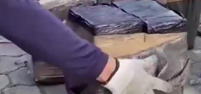 Două tone de cocaină, confiscate de pe un mic submarin în Columbia. Valoarea totală a capturii: 68 de milioane de dolari