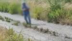 În timp ce italienii se luptă cu incendiile, un bărbat a fost surprins cum dă foc intenţionat pe un câmp. A fost arestat imediat de poliţie - VIDEO