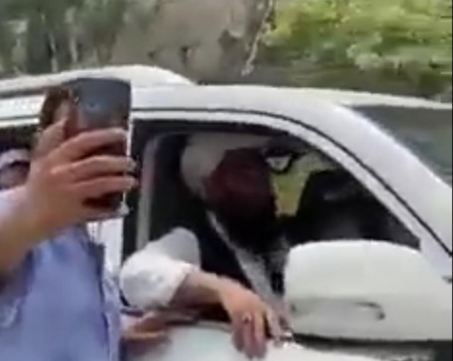 Fostul bodyguard al lui Osama bin Laden a revenit în Afganistan cu câteva ore înainte ca americanii să plece. A fost primit cu entuziasm - VIDEO Fostul bodyguard al lui Osama bin Laden a revenit în Afganistan cu câteva ore înainte ca americanii să plece. A fost primit cu entuziasm - VIDEO