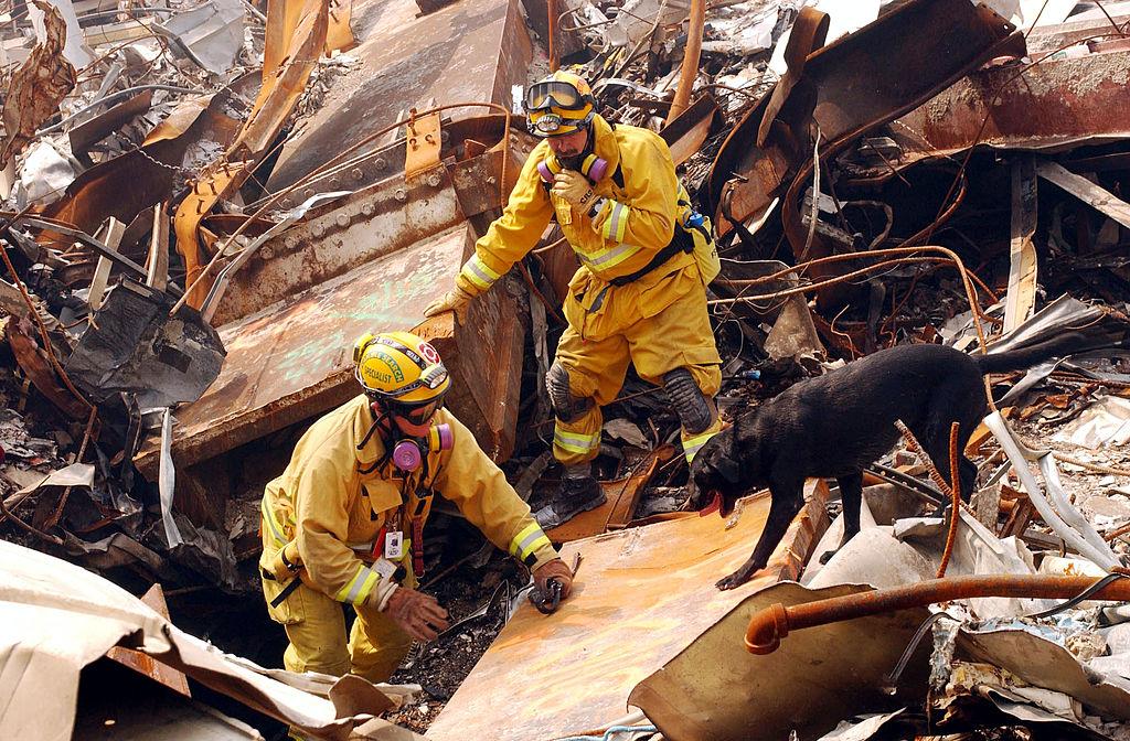 Mike Scott de la California Task Force-8 și câinele său, Billy, caută victime printre dărâmături, 21 septembrie 2001