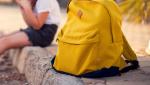 Fetiță de 13 ani din Reșița, trimisă ca pe un "pachet" în Austria, la rude. Poliția: "Nu confundați copilul cu un bagaj"