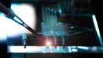 În plină criză a semiconductorilor, două fabrici din Germania au fost nevoite să-şi oprească activitatea din cauza unui balon
