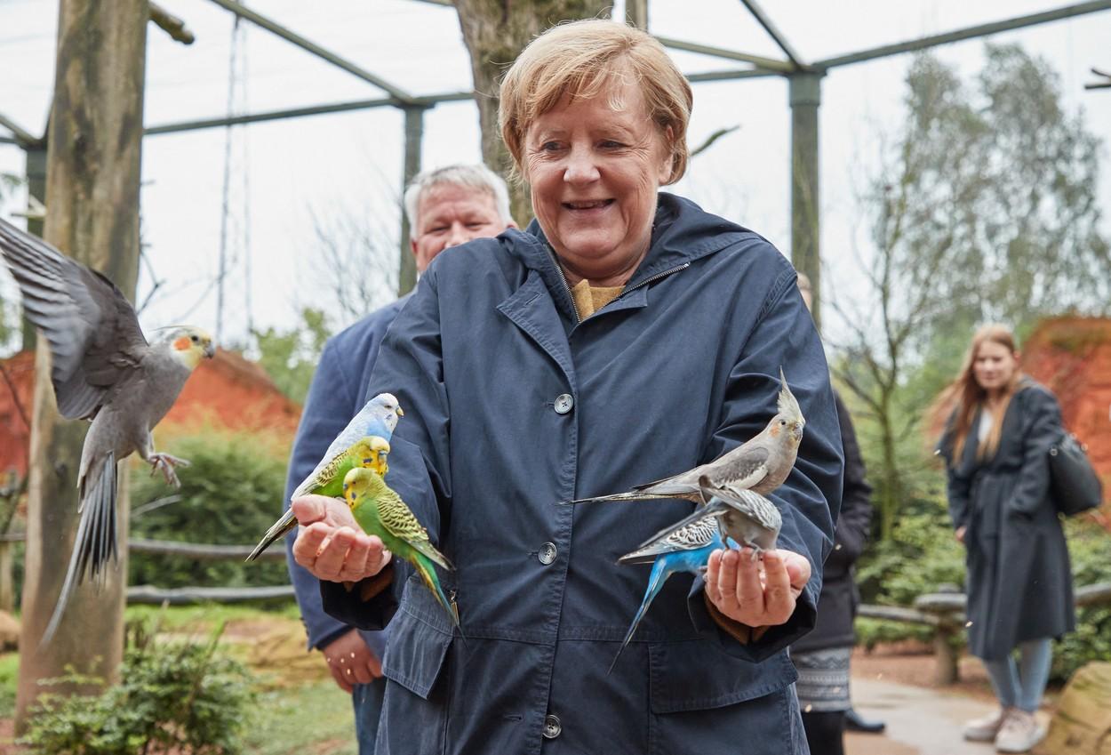 Angela Merkel, asaltată de papagali într-un parc din Germania. Reacția cancelarului după ce păsările s-au așezat pe ea