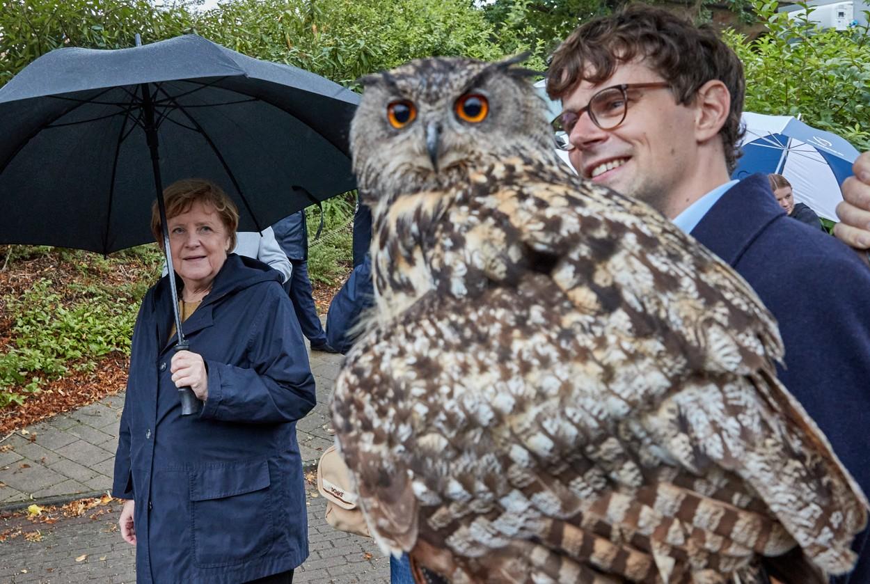 Angela Merkel, asaltată de papagali într-un parc din Germania. Reacția cancelarului după ce păsările s-au așezat pe ea