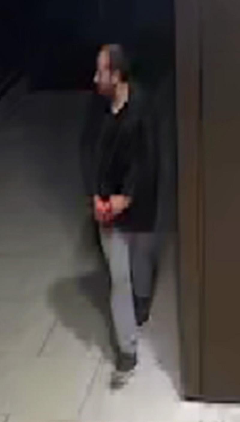 Moartea profesoarei Sabina Nessa. Polițiștii englezi cer ajutorul londonezilor în identificarea unui bărbat surprins de camerele de supraveghere Moartea profesoarei Sabina Nessa