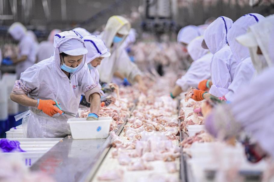 Cât de putredă este industria cărnii? Mărturiile unei românce din Olanda: Nu le pasă dacă aveam mâinile însângerate Cât de putredă este industria cărnii? Mărturiile unei românce din Olanda: Nu le pasă dacă aveam mâinile însângerate