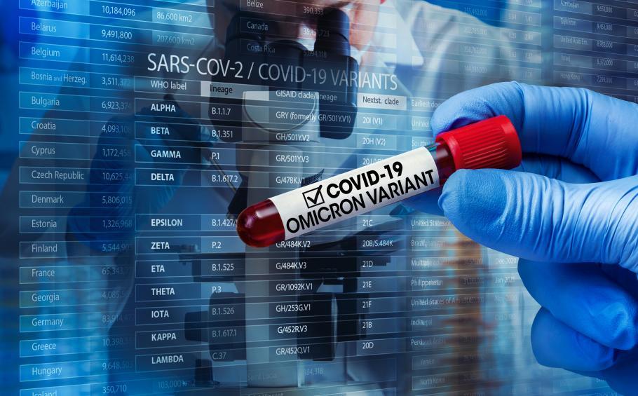 INSP anunţă că varianta Omicron se transmite comunitar în România: "Au fost întrunite criteriile" INSP anunţă că varianta Omicron se transmite comunitar în România: "Au fost întrunite criteriile"