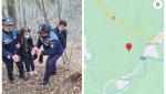 O fată de 13 ani a fost găsită în stare de șoc, într-o pădure din Vrancea, după ce a dispărut de acasă
