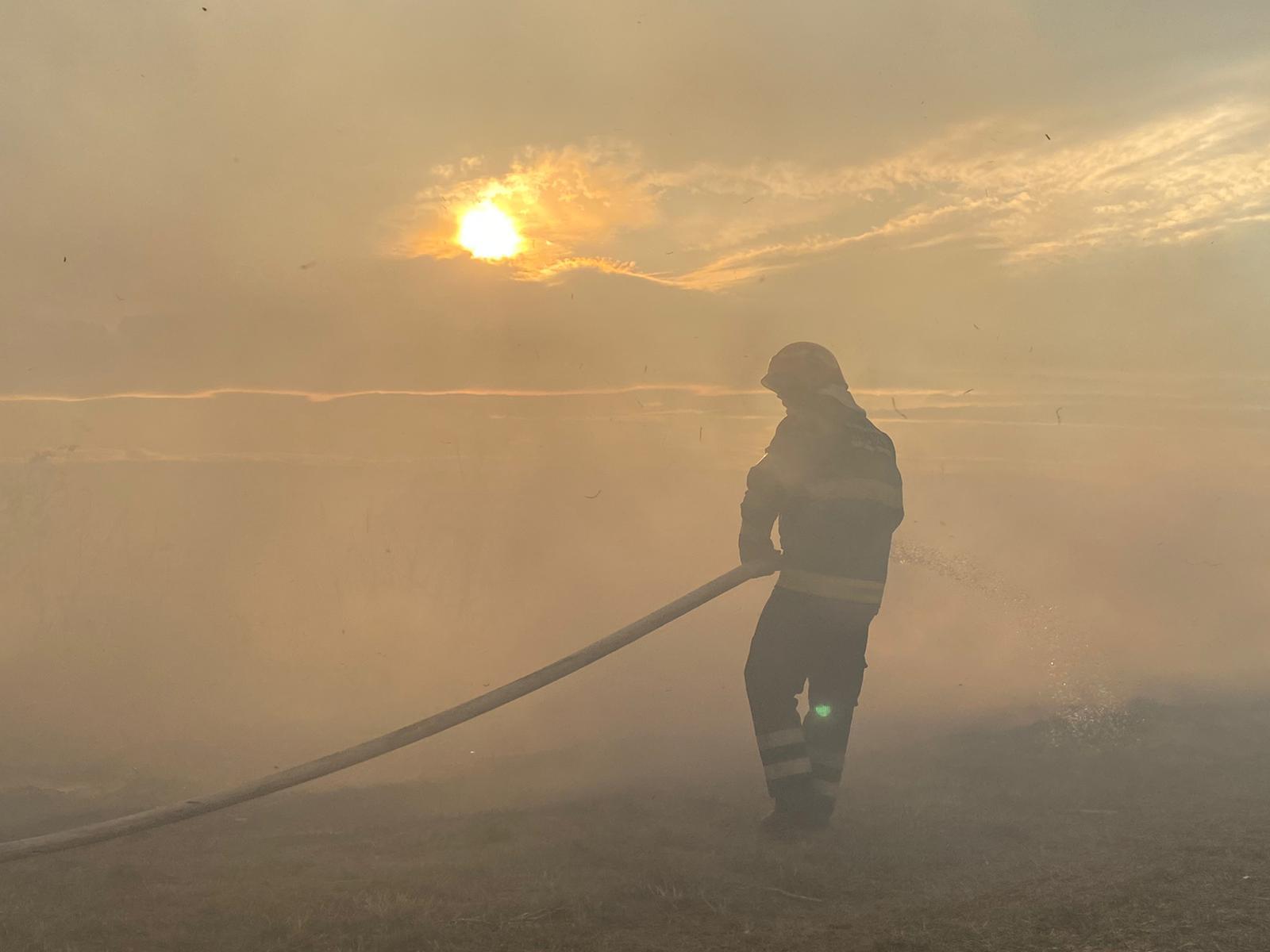 Incendiu de vegetaţie în Botoşani