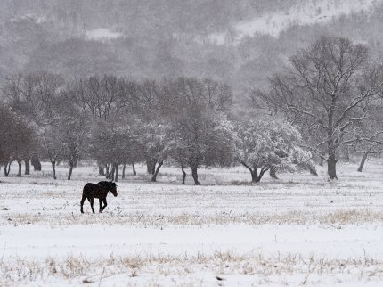 peisaj de iarnă în România