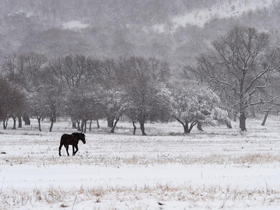 peisaj la munte peisaj de iarnă în România
