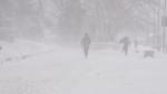 Alertă meteo de ninsori abundente și viscol în România. Rafale cu viteză de 50-70 km/h