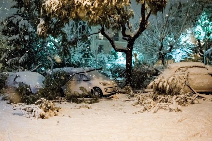 ninsori abundente în Grecia