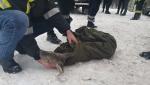 Căprioară atacată de câini, salvată de trei tinere sportive din apele râului Bistriţa
