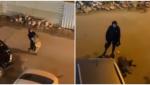 Momentul în care o femeie din Kuweit aleargă să îşi recupereze "leul de companie" pierdut pe stradă. VIDEO
