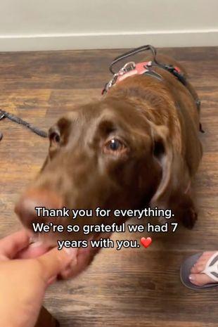 Momentul sfăşietor a fost urmărit de peste 3,3 milioane de oameni