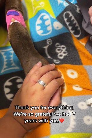 Momentul sfăşietor a fost urmărit de peste 3,3 milioane de oameni