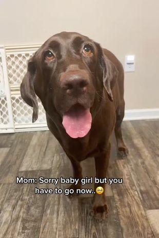 Momentul sfăşietor a fost urmărit de peste 3,3 milioane de oameni