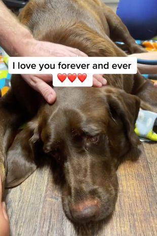 Momentul sfăşietor a fost urmărit de peste 3,3 milioane de oameni