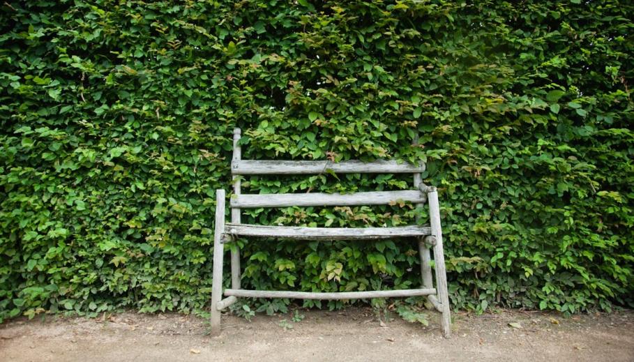 O femeie şi-a petrecut 3 ani dormind într-un tufiş alături de pisica ei, pentru că niciun proprietar nu i-a permis să stea în chirie alături de felină Femeia a spus că foarte multe locuri în care a încercat să locuiască, nu acceptau animalele de companie.