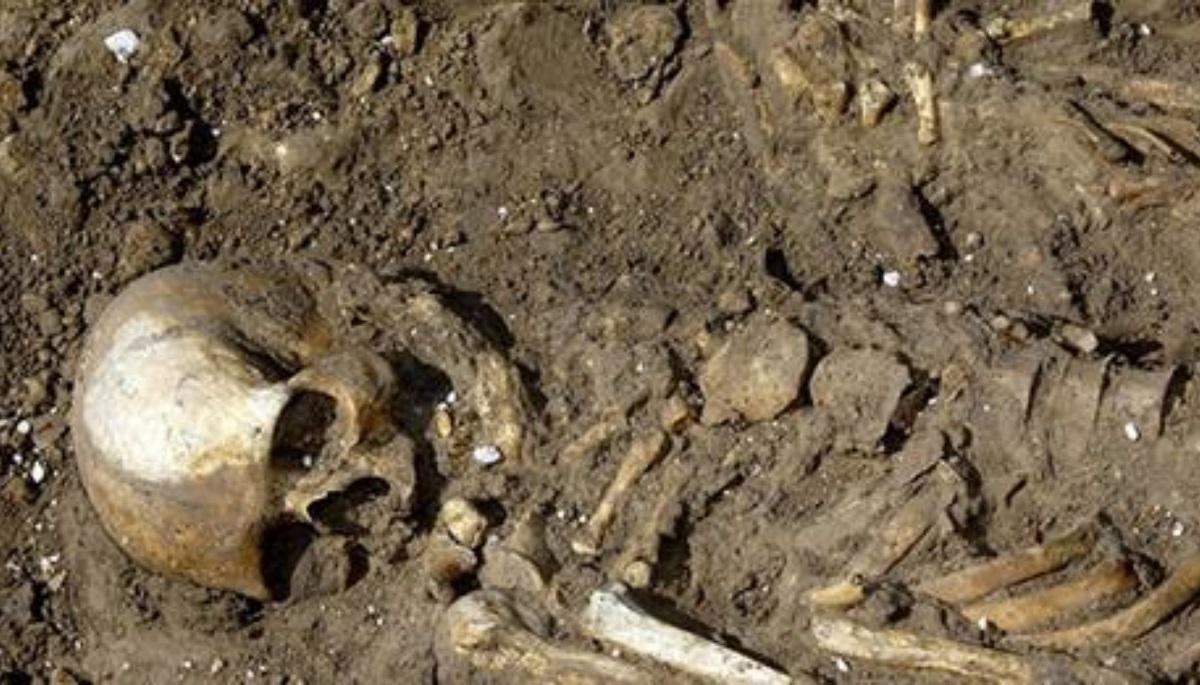 Oasele au fost descoperite de către muncitori în momentul în care săpau nişte gropi pentru plantarea unor copaci