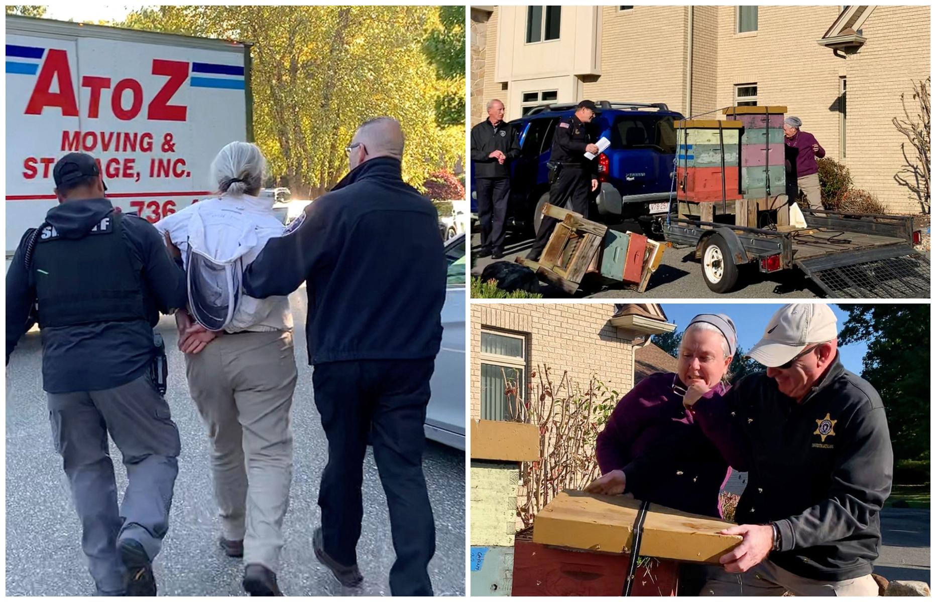 Femeia şi-a trimis albinele la "război" cu poliţiştii