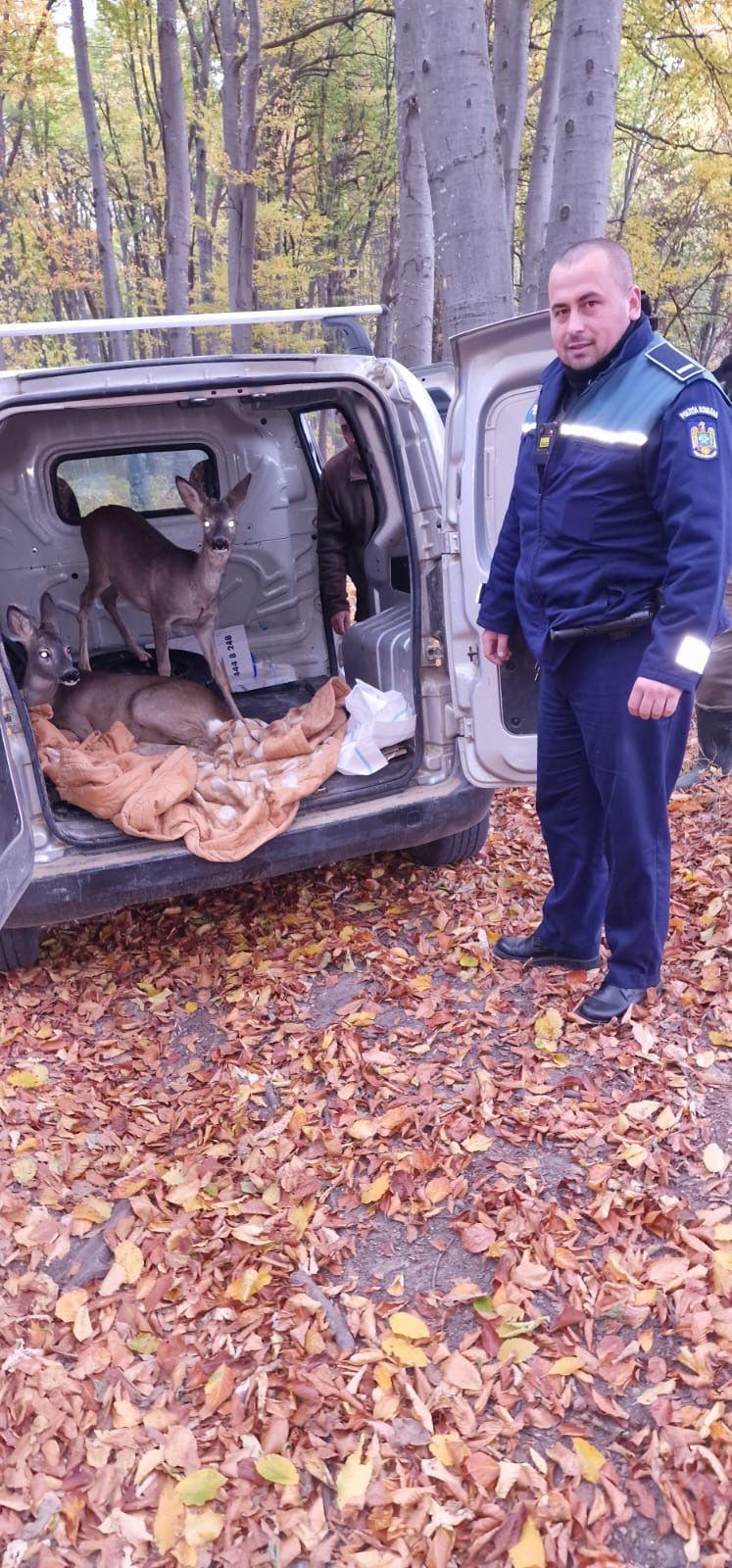 Omul, suspect de braconaj, s-a ales cu dosar penal