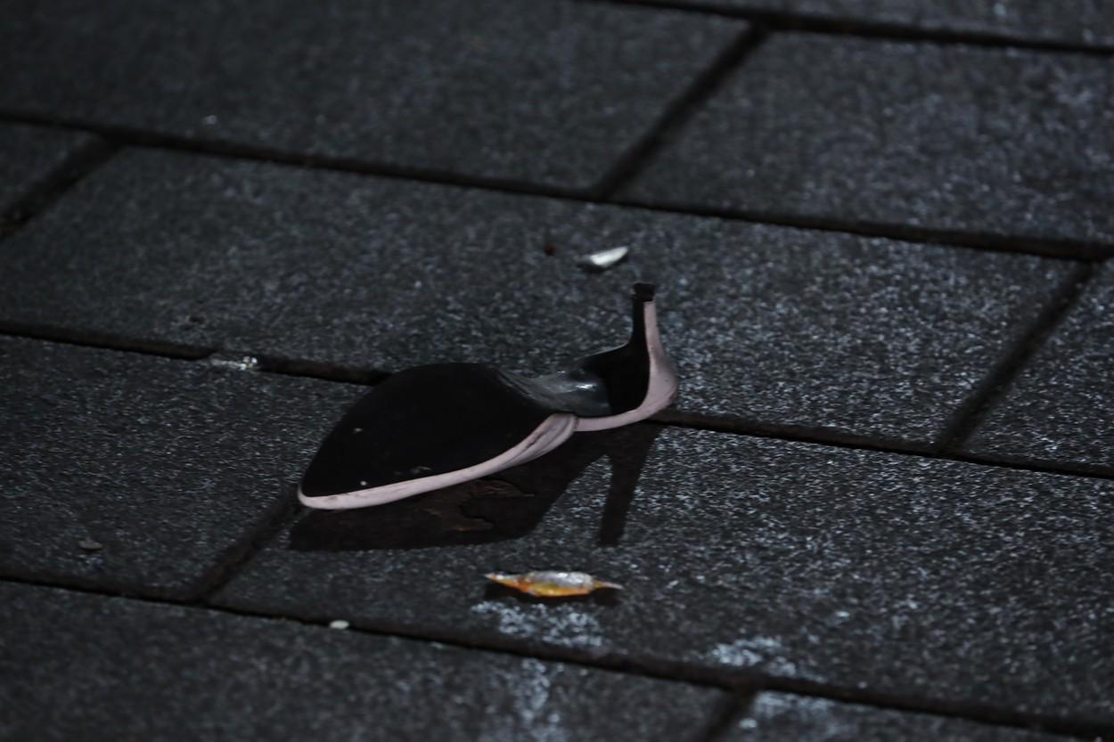 Mărturiile oamenilor care au asistat la infernul din Seul